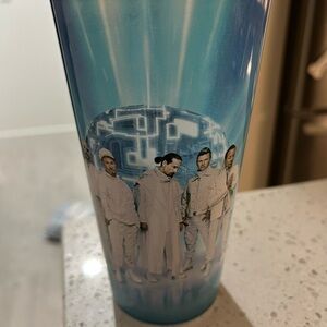 Backstreet Boys Sphere Souvenir cup